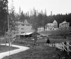 Romania,Transylvania, Borsec, balról a Wolf üdülő, az Emil villa és a Dóra villa (később Villa Bella)., 1941, Gyöngyi, architecture, holiday house, Fortepan #11409