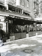 Németország, Berlin, Kurfürstendamm 11., Weisz csárda., 1938, Buzinkay Géza, antiszemitizmus, Dávid csillag, Fortepan #114553