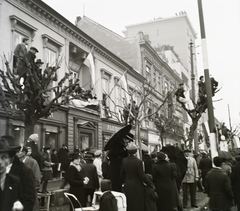 Szlovákia, Kassa, Fő utca (ulica Hlavná) 1938. november 11-én a magyar csaptok bevonulása idején., 1938, Buzinkay Géza, területgyarapodás, felhőkarcoló, Funkcionalizmus, fán ülni, Alexander Skutecký-terv, Fortepan #114559