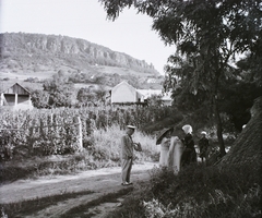 Magyarország,Balaton, Badacsonytördemic, Római út., 1936, Buzinkay Géza, esernyő, fejkendő, tányérsapka, Fortepan #114584