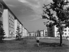 Magyarország, Dunaújváros, (Sztálinváros), balra a Május 1. utca házainak hátsó frontja az Ady Endre utcától a Babits Mihály utca felé nézve., 1953, Gallai Sándor, park, lakótelep, Fortepan #114720