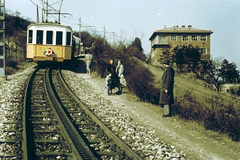 Magyarország, Budapest XII., a Fogaskerekű az Esze Tamás Iskola megállónál., 1960, Fortepan, színes, fogaskerekű vasút, Budapest, Fortepan #114752