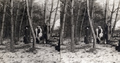 1905, Fortepan/Album007, dog, women, stereophoto, Fortepan #114827