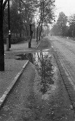 Magyarország, Budapest XV., Bezsilla Nándor (Mosolygó Antal) utca a Pestújhelyi út felé nézve, balra a Pestújhelyi tér., 1958, Móra András, pocsolya, Budapest, Fortepan #114884