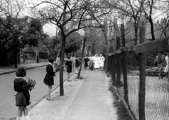 Magyarország, Budapest XV., Ady Endre utca a Szücs István (Doktor Sándor) utca felől nézve, gyermekorvosi rendelő átadása., 1963, Móra András, Budapest, Fortepan #114976