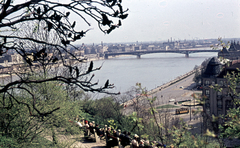 Magyarország, Gellérthegy, Budapest XI., kilátás a Petőfi híd felé, előtérben a Szent Gellért tér., 1960, Móra András, színes, villamos, Duna, Budapest, Duna-híd, Álgyay Hubert Pál-terv, Fortepan #114985