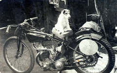 1937, Kelemen Zsuzsa, dog, motorcycle, Fortepan #115106