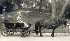 Magyarország, Városliget,Állatkert, Budapest XIV., pónifogat., 1939, Zsivkov Anita - Koós Árpád / Kocsis András fényképei, póniló, Budapest, lovaskocsi, Fortepan #115182