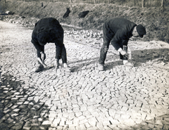 1931, Zsivkov Anita - Koós Árpád / Kocsis András fényképei, road construction, Fortepan #115208