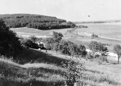 Magyarország, Balatonalmádi, a mai Káptalanfüred területe, a vasúti megálló környéke Balatonfüred felől nézve., 1928, Fortepan, erdő, vasút, domboldal, Fortepan #11521