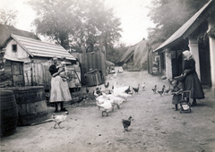 1940, Zsivkov Anita - Koós Árpád / Kocsis András fényképei, poultry, Fortepan #115217