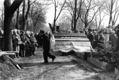 Hungary, Budapest XII., Farkasréti temető, Németh László író temetése., 1975, Németh László Társaság, funeral, Budapest, Fortepan #115422