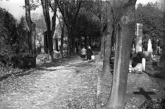 1957, Répay András, cemetery, dirt road, Fortepan #115437