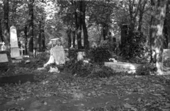 1957, Répay András, tombstone, cemetery, tomb, Fortepan #115438