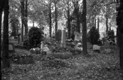 1957, Répay András, cemetery, Fortepan #115439