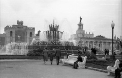 Oroszország, Moszkva, Népgazdaság Eredményeinek Kiállítása (később Összoroszországi Kiállítási Központ)., 1958, Répay András, Szovjetunió, szocreál, vásár, díszkút, nemzeti örökség, Fortepan #115486