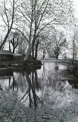 1930, Széman György, Fortepan #115728