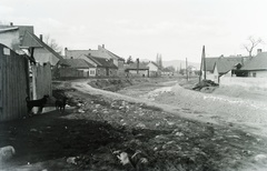 Hungary, Szentendre, Bükkös patak., 1930, Széman György, Fortepan #115749