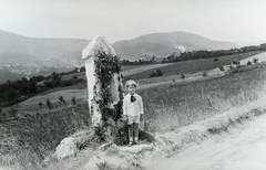 Magyarország, Budapest II., látkép a Törökvész út környékéről a Hárs-hegy felé., 1932, Széman György, Budapest, Fortepan #115758