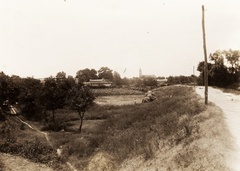 Hungary, Dunavecse, a falu látképe északról, háttérben kissé jobbra a református templom., 1905, Széman György, picture, dirt road, path, farm, Fortepan #115865