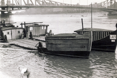 Magyarország, Budapest V., haltároló bárkák a pesti alsó rakpartnál. Háttérben a Szabadság (Ferenc József) híd., 1935, Lettner József, Duna, Budapest, Fortepan #116153