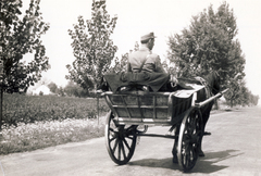 1948, Mátyásfalvi János, coach, soldier, cart, Fortepan #116228