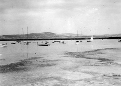 Hungary, Lake Velence, Gárdonyból fényképezve., 1950, Gyöngyi, sailboat, Fortepan #11626