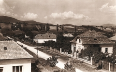 Hungary, Budakalász, Szent István telep, Széchenyi utca., 1940, Fortepan, Fortepan #116297