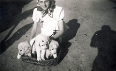 1931, Rothman család, dog, puppy, Fortepan #116426