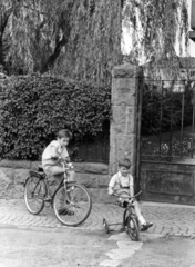 Hungary, Budapest XI., Szüret utca 27., 1957, Vojnich Pál, Budapest, tricycle, bicycle, Fortepan #116607