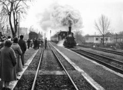 Hungary, Sásd, vasútállomás. Nosztalgiavonat érkezik Godisa felől, a Budapest - Pécs vasútvonal megnyitásának 100. évfordulója alkalmával., 1982, Szűcs Róbert, steam locomotive, Fortepan #116767