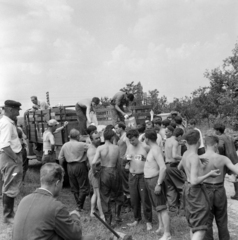 1958, FSZEK Budapest Gyűjtemény / Sándor György, Sándor György, csoportkép, férfiak, teherautó, félmeztelen, tejeskanna, bögre, képarány: négyzetes, Fortepan #116807