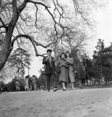 Magyarország, Margitsziget, Budapest, 1958, FSZEK Budapest Gyűjtemény / Sándor György, Sándor György, séta, park, csoportkép, Fortepan #116815