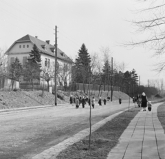 Magyarország, Budapest II., Branyiszkó út a Hidász utca felöl a Virág árok felé nézve., 1958, FSZEK Budapest Gyűjtemény / Sándor György, Sándor György, óvoda, Budapest, képarány: négyzetes, Fortepan #116832