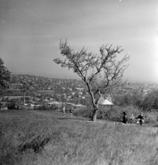 Magyarország, Budapest XII., kilátás a Fogaskerekű Orgonás megállója közeléből. Balra a János Kórház kéménye, mögötte a távolban a Herman Ottó (Debrői) úton a Szőlészeti Kutató Intézet (egykor Magyar Királyi Központi Szőlészeti Kísérleti Állomás, ma Nemzeti Agrárkutatási és Innovációs Központ) épületegyüttese., 1958, FSZEK Budapest Gyűjtemény / Sándor György, Sándor György, Budapest, látkép, Fortepan #116833