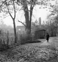 Magyarország, Margitsziget, Budapest, háttérben a kolostorrom., 1958, FSZEK Budapest Gyűjtemény / Sándor György, Sándor György, képarány: négyzetes, Fortepan #116838