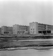 Magyarország, Budapest XXI., Csepel, Csillagtelep, Vénusz (780.) utca házsora a Szabadság utca felől nézve., 1959, FSZEK Budapest Gyűjtemény / Sándor György, Sándor György, Budapest, Fortepan #116860