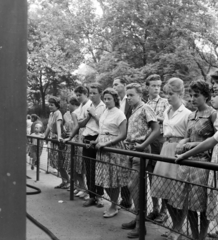 Magyarország, Városliget,Állatkert, Budapest XIV., 1959, FSZEK Budapest Gyűjtemény / Sándor György, Sándor György, fiatalság, fiúk, lány, Budapest, nyári ruha, ing, fapofa, Fortepan #116878