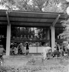 Magyarország, Balatonszemes, Kisfaludy utca, üzletsor., 1958, FSZEK Budapest Gyűjtemény / Sándor György, Sándor György, tejivó, Csemege vállalat, Fortepan #116904