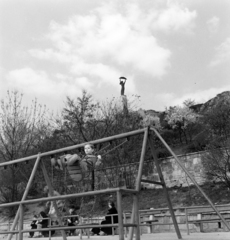 Magyarország, Gellérthegy, Budapest XI., játszótér a Gellért Gyógyfürdővel szemben a mai Szabó Dezső sétányon., 1958, FSZEK Budapest Gyűjtemény / Sándor György, Sándor György, játszótér, hinta, fa, Budapest, Fortepan #116909