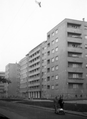 Magyarország, Budapest XIII., Fivér utca a Fiastyúk (Thälmann) utca felől az Övezet utca felé nézve., 1960, FSZEK Budapest Gyűjtemény / Sándor György, Sándor György, Budapest, lakótelep, Fortepan #117038