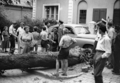 Magyarország, Budapest II., Hűvösvölgyi út (Vörös Hadsereg útja) 110., kidőlt fa az 1958. augusztus 21-i vihar után., 1958, FSZEK Budapest Gyűjtemény / Sándor György, Sándor György, GAZ M20 Pobjeda, Budapest, kidőlt fa, bámészkodás, Fortepan #117039