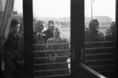 Hungary, 1957, FSZEK Budapest Gyűjtemény / Sándor György, Sándor György, waiting, Fortepan #117085