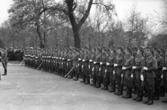 Hungary, Budapest VIII., Fiumei úti Nemzeti Sírkert (Kerepesi temető) 1957. április 19-én. Az 1956. októberében a rádiónál és a Kertész utcánál elesett tisztek temetésekor készült a felvétel., 1957, FSZEK Budapest Gyűjtemény / Sándor György, Sándor György, sword, gun, Budapest, Fortepan #117093