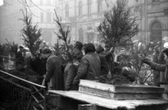 Magyarország, Budapest VI., Hunyadi tér, fenyőárus a Vásárcsarnok előtt., 1959, FSZEK Budapest Gyűjtemény / Sándor György, Sándor György, karácsonyfa, Budapest, Fortepan #117121