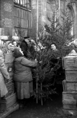 Magyarország, Budapest IX., Csarnok tér, fenyőárus a Központi Vásárcsarnok előtt., 1959, FSZEK Budapest Gyűjtemény / Sándor György, Sándor György, karácsonyfa, Budapest, Fortepan #117124