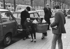 Franciaország, Párizs, Avenue des Champs-Élysées az Avenue George V és Rue Quentin Bauchart között., 1967, Aradi Péter, Szenczi Mária, Fortepan #117234