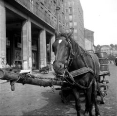 Magyarország, Budapest VII., Károly (Tanács) körút a Király (Majakovszkij) utca felől nézve, balra a Madách-házak., 1955, Aradi Péter, Szenczi Mária, Budapest, képarány: négyzetes, hordó, lovaskocsi, Fortepan #117336