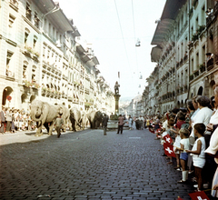 Svájc, Bern, Kramgasse, szemben a Zähringer-kút., 1965, Aradi Péter, Szenczi Mária, színes, elefánt, Fortepan #117456