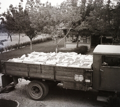 Hungary, Halásztelek, (ekkor Tököl külterülete), Korbuly birtok., 1940, Korbuly, commercial vehicle, fruit, Fortepan #117597